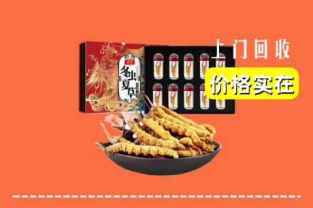博尔塔拉博乐市回收冬虫夏草