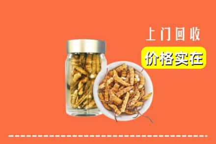 博尔塔拉博乐市回收散虫草