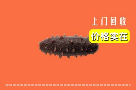 博尔塔拉博乐市回收海参