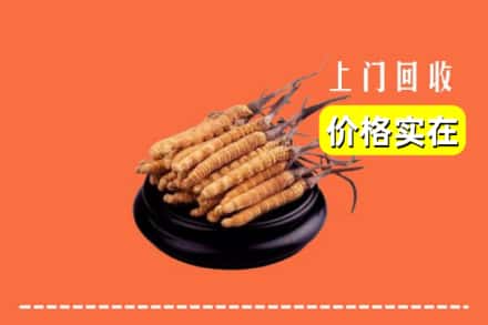 博尔塔拉博乐市回收冬虫夏草